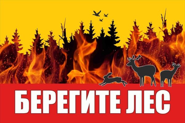 Беоегите ЛЕТТОТ пожара