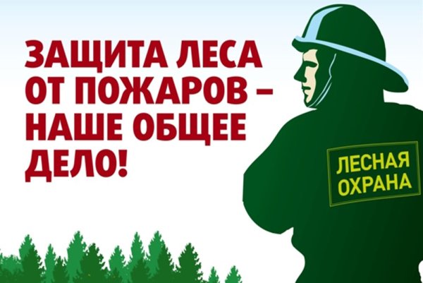 Защита леса от пожара