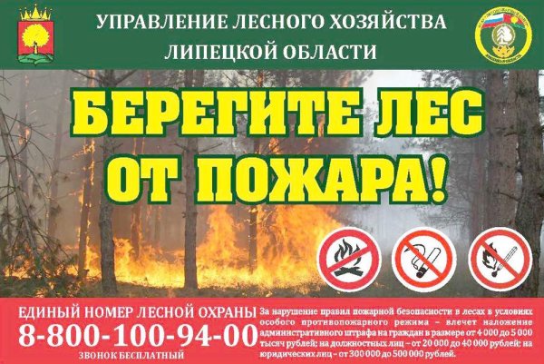 Охрана леса от пожара