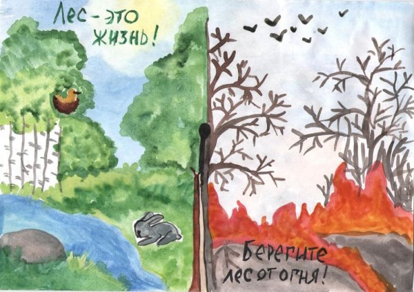 Листовки в защиту леса