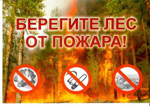 Противопожарные аншлаги в лесу