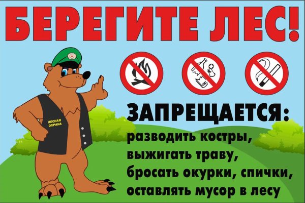 Противопожарные аншлаги в лесу