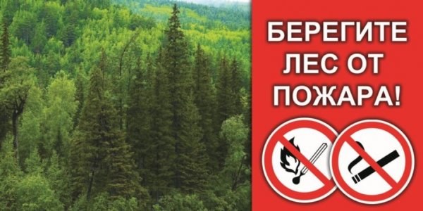 Охраняйте лес