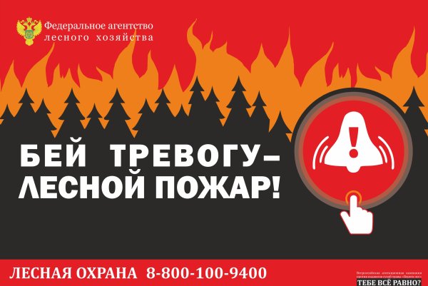 Плакат против лесных пожаров