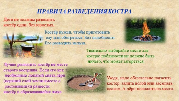 Правила разведения костра