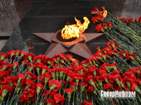 Мемориал вечный огонь славы Вологда