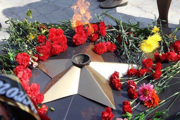 Парк Победы Шексна вечный огонь