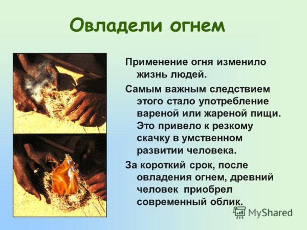 Использование огня человеком
