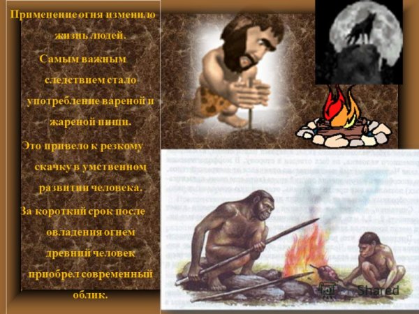 Огонь в жизни древнего человека
