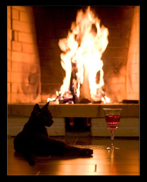 Котик возле камина