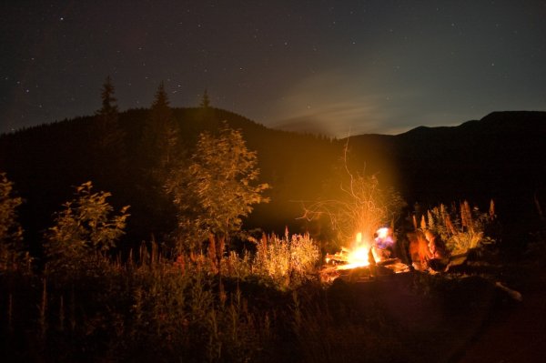 Тайга ночью