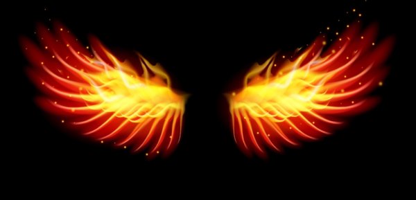 Крылья в огне