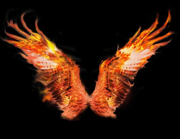 Красивые Огненные Крылья