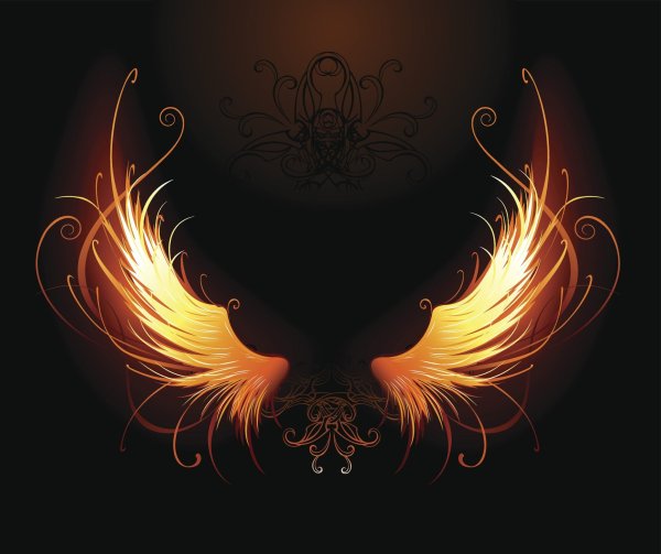 Огненные Крылья на черном фоне