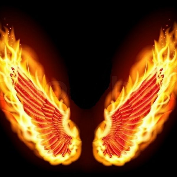 Крылья в огне