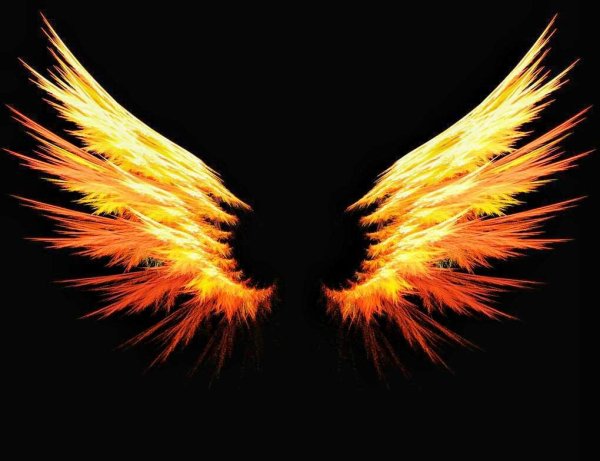 Огненные Крылья