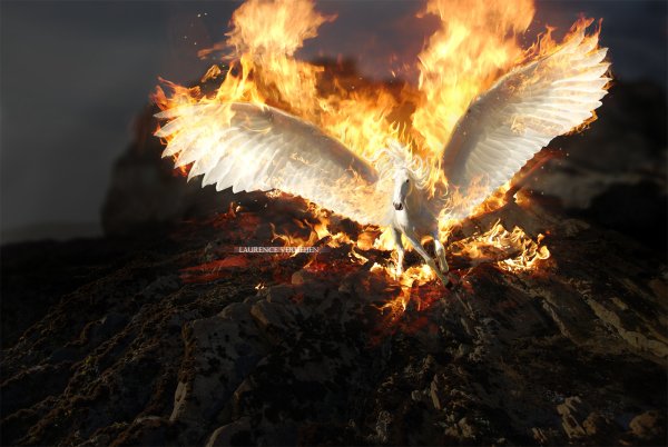 Горящие Крылья