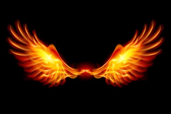 Крылья в огне