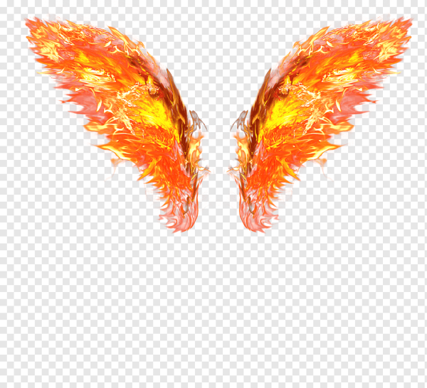 Огненные Крылья