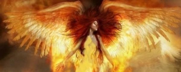 Птица Феникс девушка с крыльями