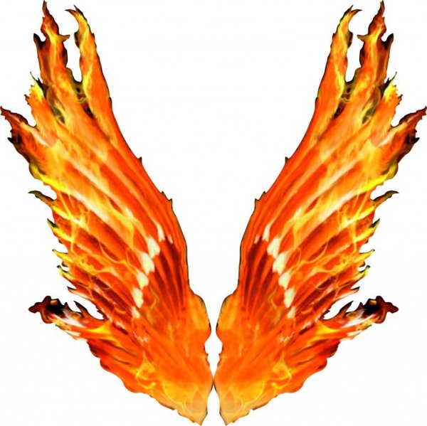 Крылья в огне