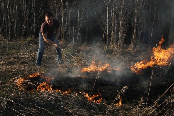 Человек поджигает лес