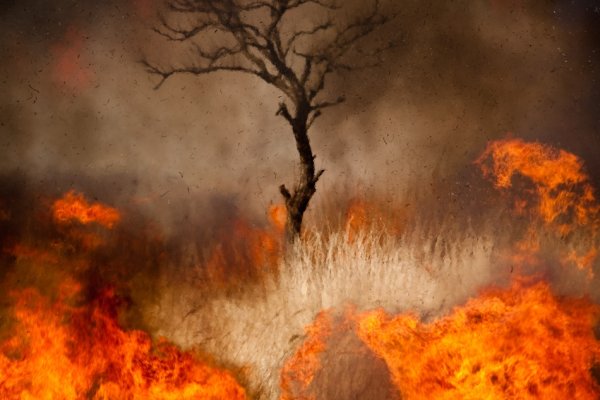 Природная стихия пожар