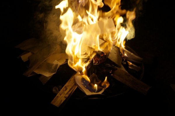 Дикий вечер