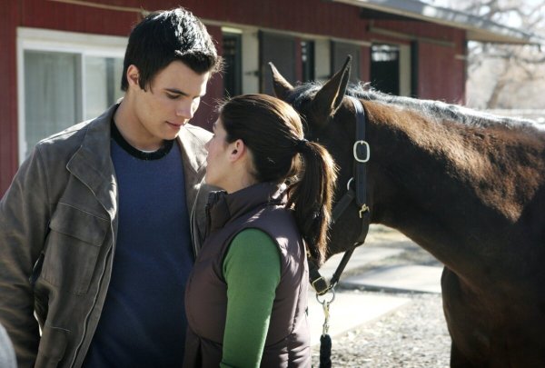 Сериал дикий огонь Wildfire