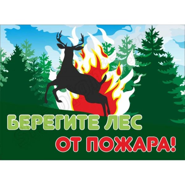 Противопожарные плакаты в лесу