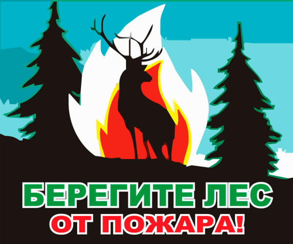 Берегите лес