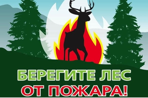 Берюгите лет от пожара