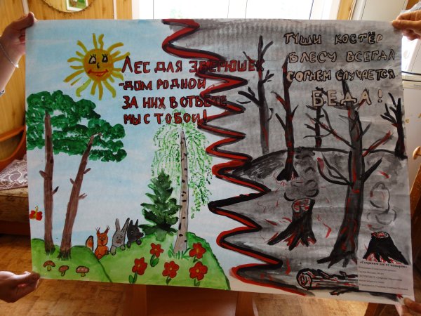 Плакат на тему защита леса