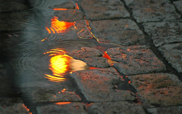 Лужа на асфальте