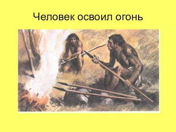 Человек осваивает огонь