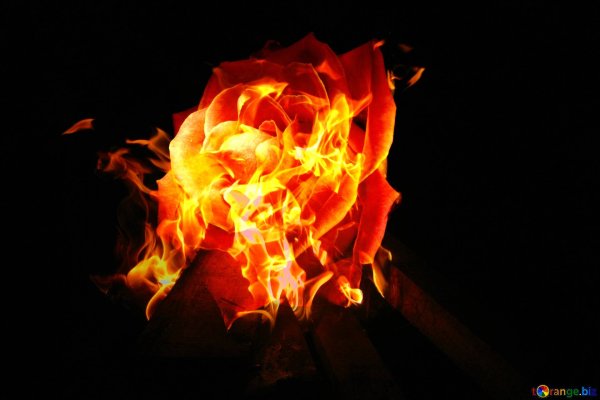 Огненный цветок