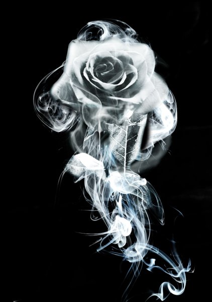 Цветы в дыму