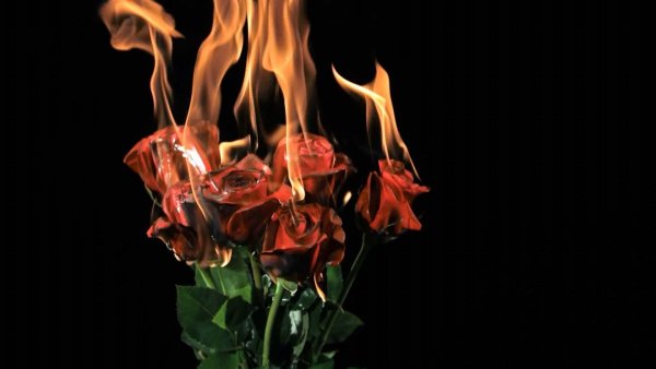 Горящий букет роз