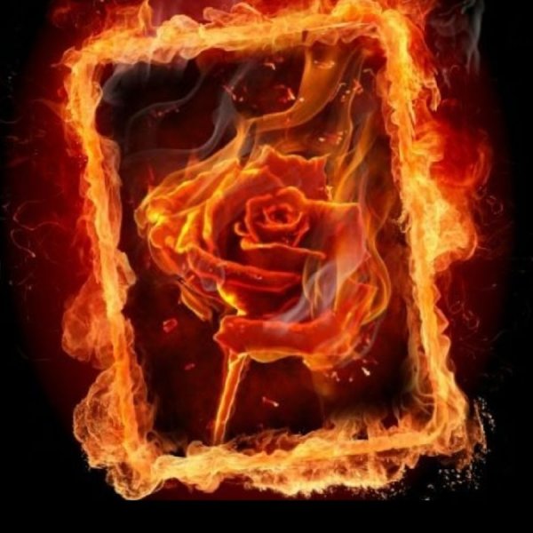 Кровь в огне