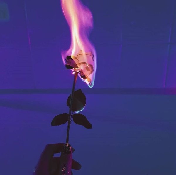 Сжигает розу