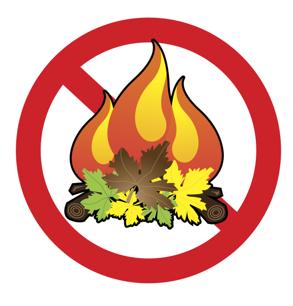 Эмблема костер