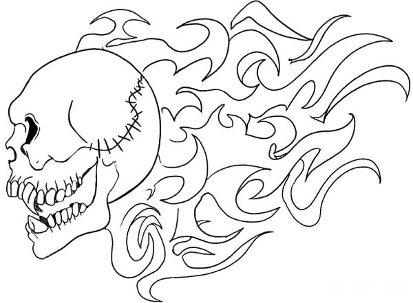 Череп для выжигания