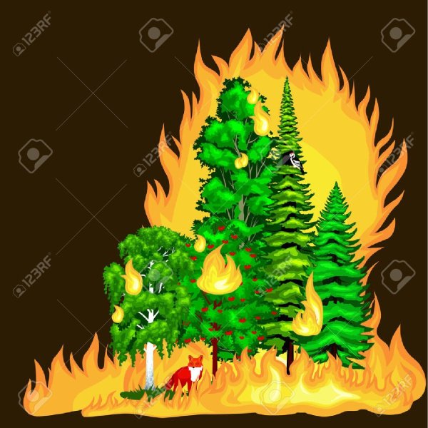 Горящий лес для детей