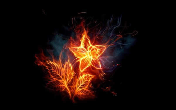 Стефани Блейк Огненные цветы