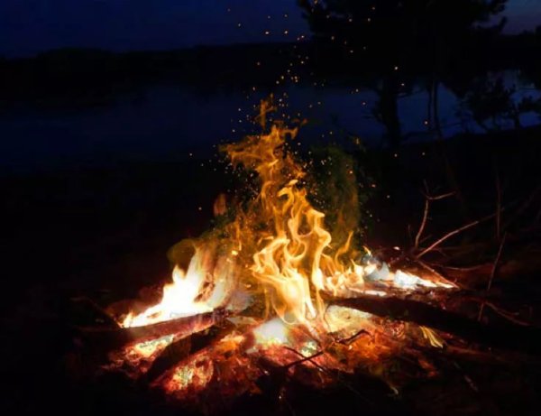 Костер в лесу