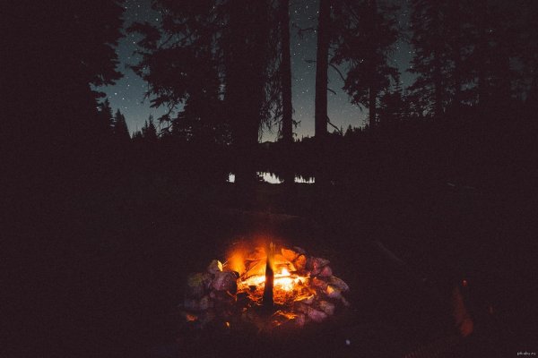 Костёр в лесу ночью