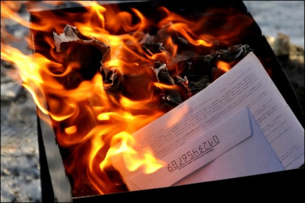 Сгоревшие в пламени листы