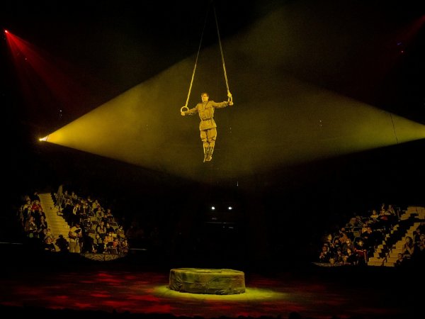 Курский цирк салют Победы