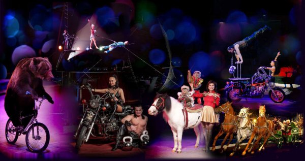 Полетаева Елена циркачка и Симонов Михаил Волгоградский цирк