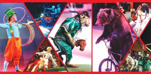 Цирк зажигает огни Воронеж